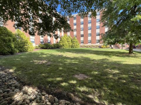 Image of Lycoming Lawn