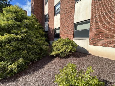 Image of window to pass cables - outdoor view